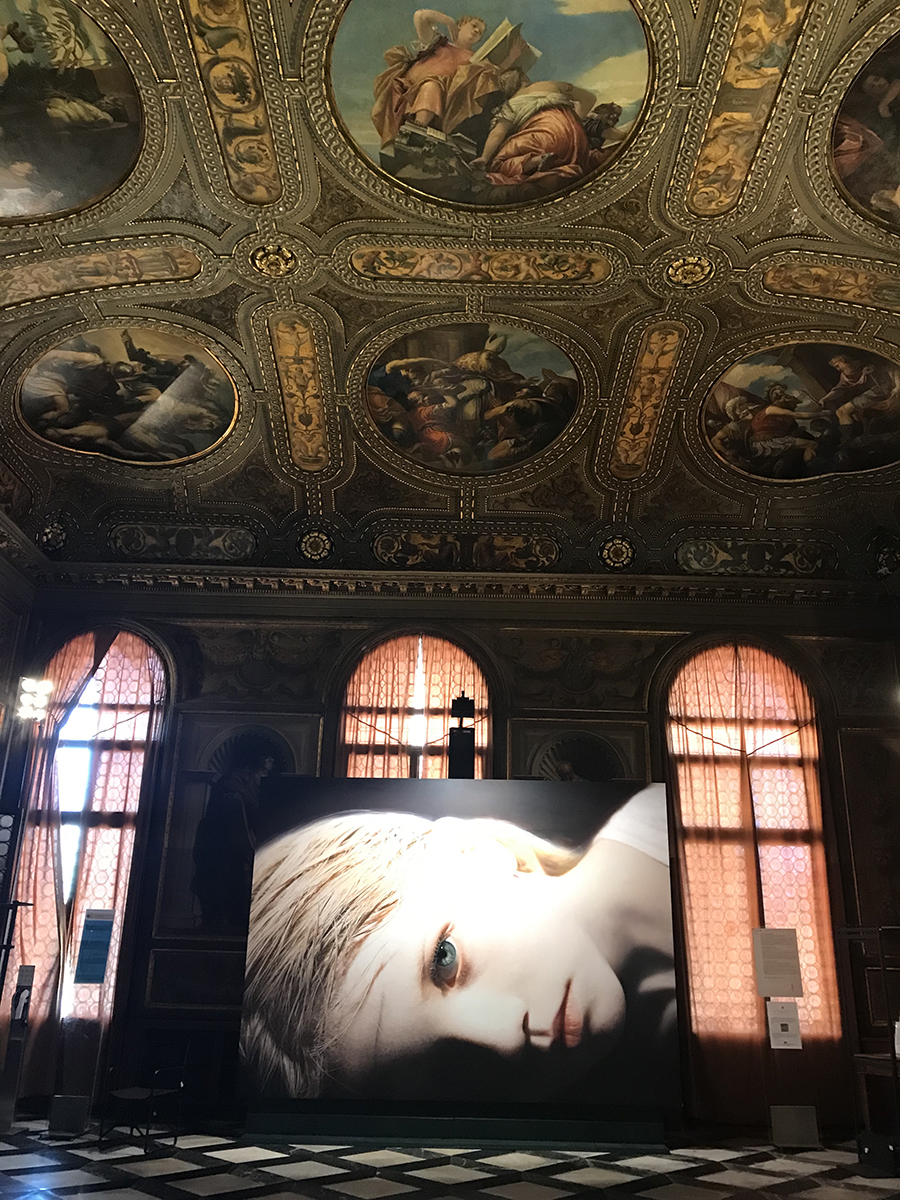 Gottfried Helnwein, Quel silenzioso bagliore nelle Sale della Biblioteca Marciana